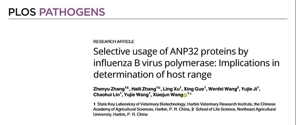 1610687630884717.jpg 攝圖網(wǎng)_500133665_商務(wù)人士機場打電話(非企業(yè)商用).jpg