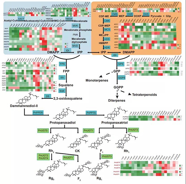 1610688504710684.jpg 微信圖片_20210115132752.jpg