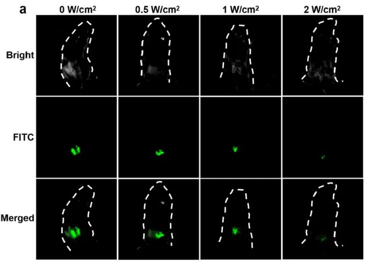 1671418751759367.jpg 3.jpg