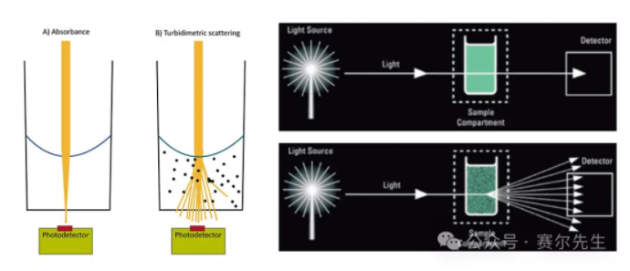 1713343560828853.png image.png