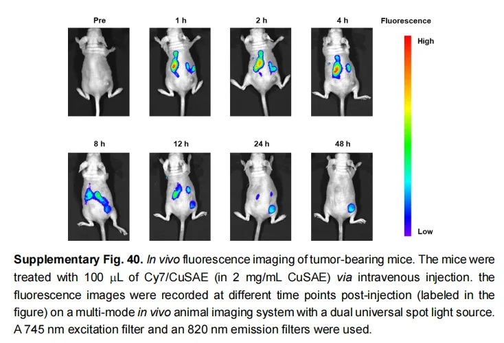 1758867723340765.jpg wx_fmt=png&from=appmsg&tp=webp&wxfrom=10005&wx_lazy=1(1).jpg